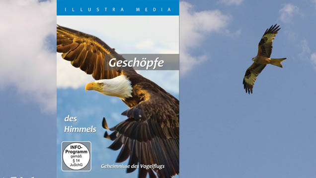 Die DVD "Geschöpfe des Himmels" zeigt die Faszination der Vogelwelt und legt einen intelligenten Schöpfer nahe