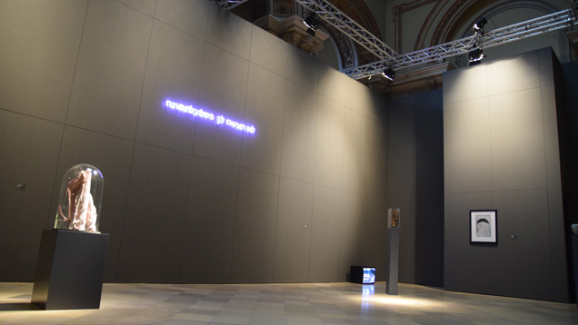 Der Berliner Dom präsentiert noch bis Pfingsten Kunstwerke in minimalistischer Installation,  um die  jahrhundertealte Entwicklung des religiösen Abbildungsverbotes aufzuzeigen