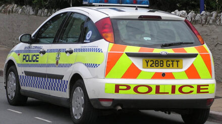 Hat die britische Polizei teilweise nicht ermittelt, weil sie sich nicht dem Vorwurf des Rassismus aussetzen wollte?