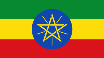 Die Demonstranten in Äthiopien richten sich sowohl gegen den IS, als aus zum Teil gegen die eigene Regierung