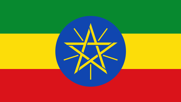 Die Demonstranten in Äthiopien richten sich sowohl gegen den IS, als aus zum Teil gegen die eigene Regierung