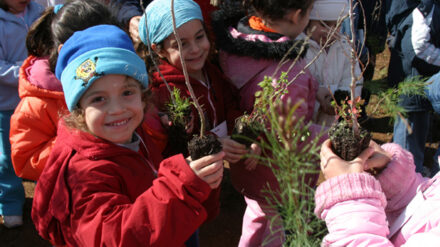 Kinder spielen und lernen gemeinsam – seit 175 Jahren in deutschen Kindergärten (Symbolfoto)