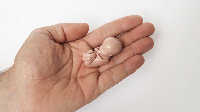 Mit dieser Nachbildung eines Embryos in der 10. Schwangerschaftswoche wollen Lebensschützer ins Bewusstsein rufen, dass es bei Abtreibungen um Menschenleben geht