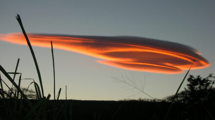 Viele Deutsche scheinen lieber an UFOs und Außerirdische zu glauben, als an Gott. Das behauptet zumindest Kardinal Woelki