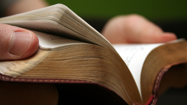 In Deutschland besitzen mehr Menschen eine Bibel als die Hausmärchen der Gebrüder Grimm. Doch was von beiden häufiger gelesen wird, ist nicht bekannt