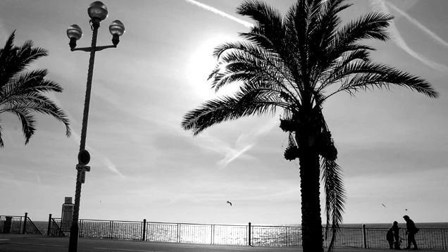 Der Anschlag in Nizza ereignete sich auf der berühmten Uferpromenade „des Anglais“ (Symbolbild)