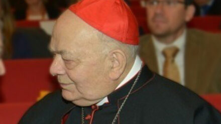 Hat sich vehement gegen die in Belgien gehandhabte aktive Sterbehilfe gewandt: der Vorsitzende der Katholischen Bischofskonferenz Elio Sgreccia