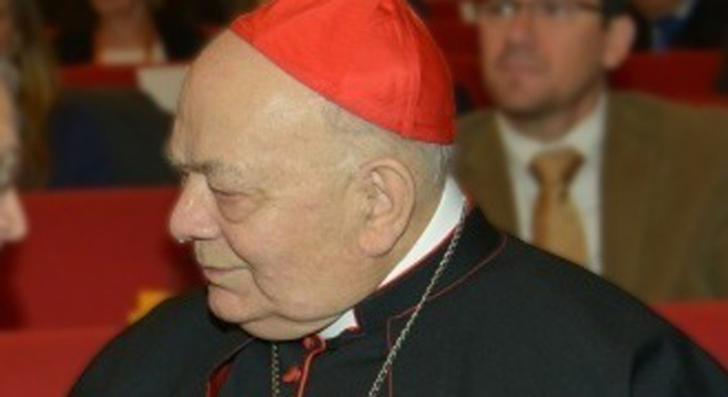 Hat sich vehement gegen die in Belgien gehandhabte aktive Sterbehilfe gewandt: der Vorsitzende der Katholischen Bischofskonferenz Elio Sgreccia