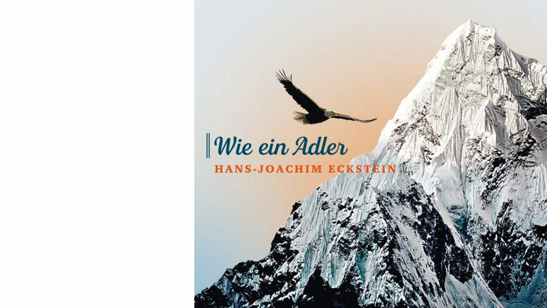 Hans-Joachim Eckstein: „Wie ein Adler”, SCM Hänssler, 12 Titel, 12,99 Euro.