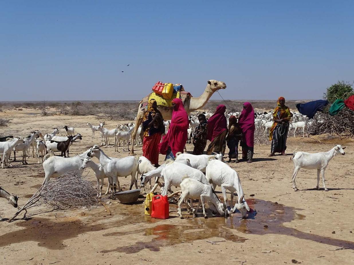 Die Diakonie Katastrophenhilfe ist derzeit unter anderem in Somalia tätig