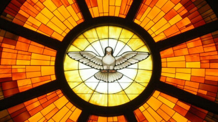 Die Taube symbolisiert den Heiligen Geist. Den bekamen die Jünger Jesu zu Pfingsten – da allerdings in Form von Feuerflammen