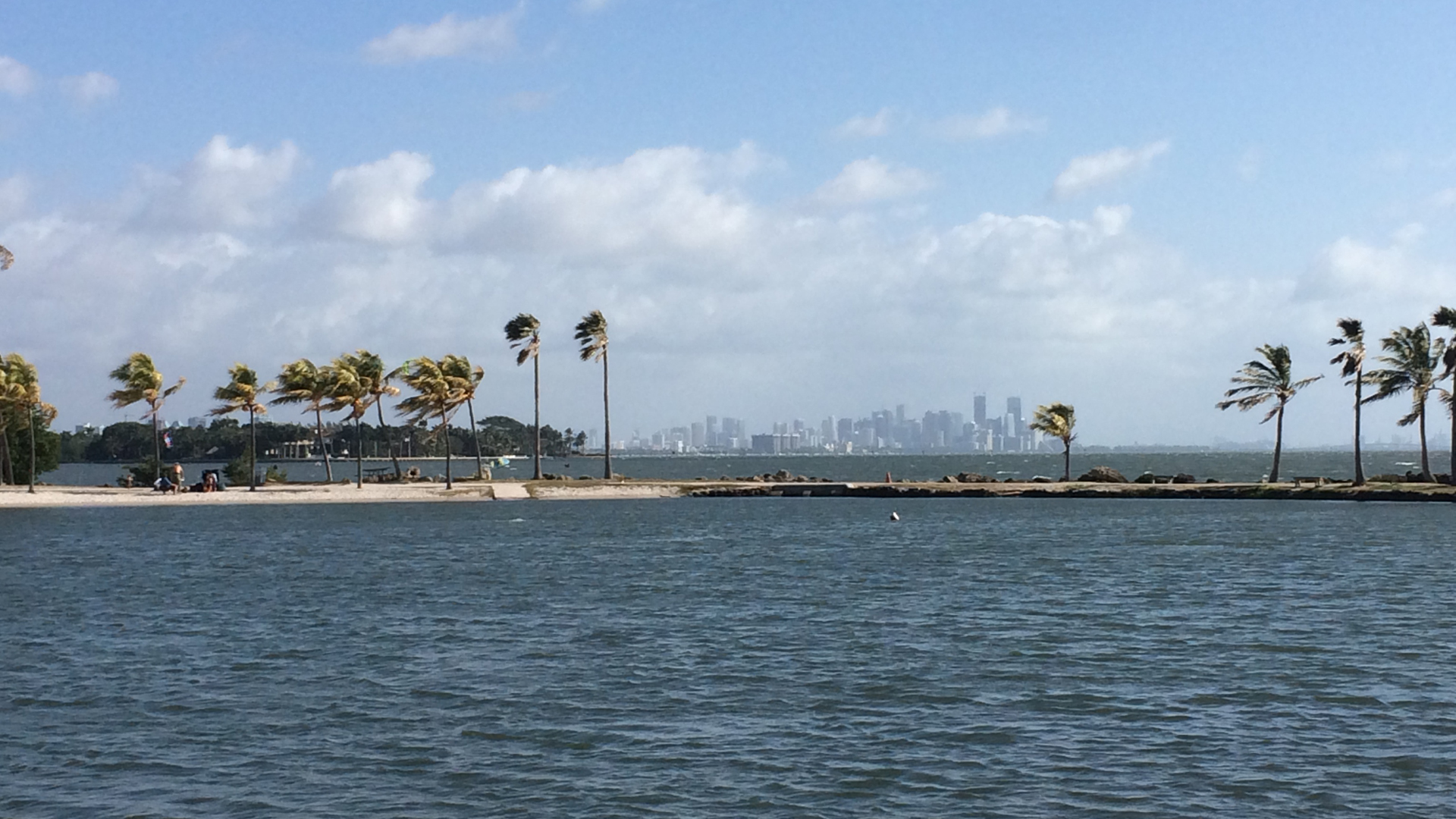 Die Skyline Miamis – betrachtet aus sicherer Entfernung vom überfüllten Miami Beach