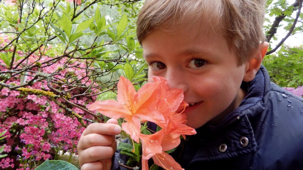 Tobias Roller liebte das Leben – und starb mit acht Jahren