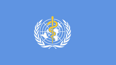 Die Weltgesundheitsorganisation besteht seit 1948