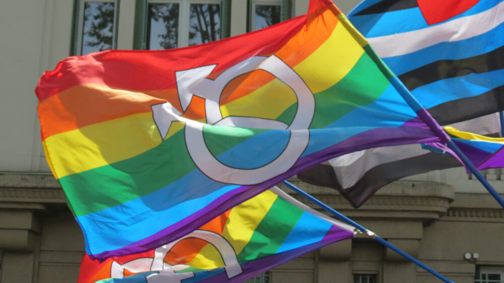 Seit 2017 dürfen Homosexuelle in Deutschland heiraten. Die AfD will das rückgänig machen, hat aber keine Chancen auf Erfolg.