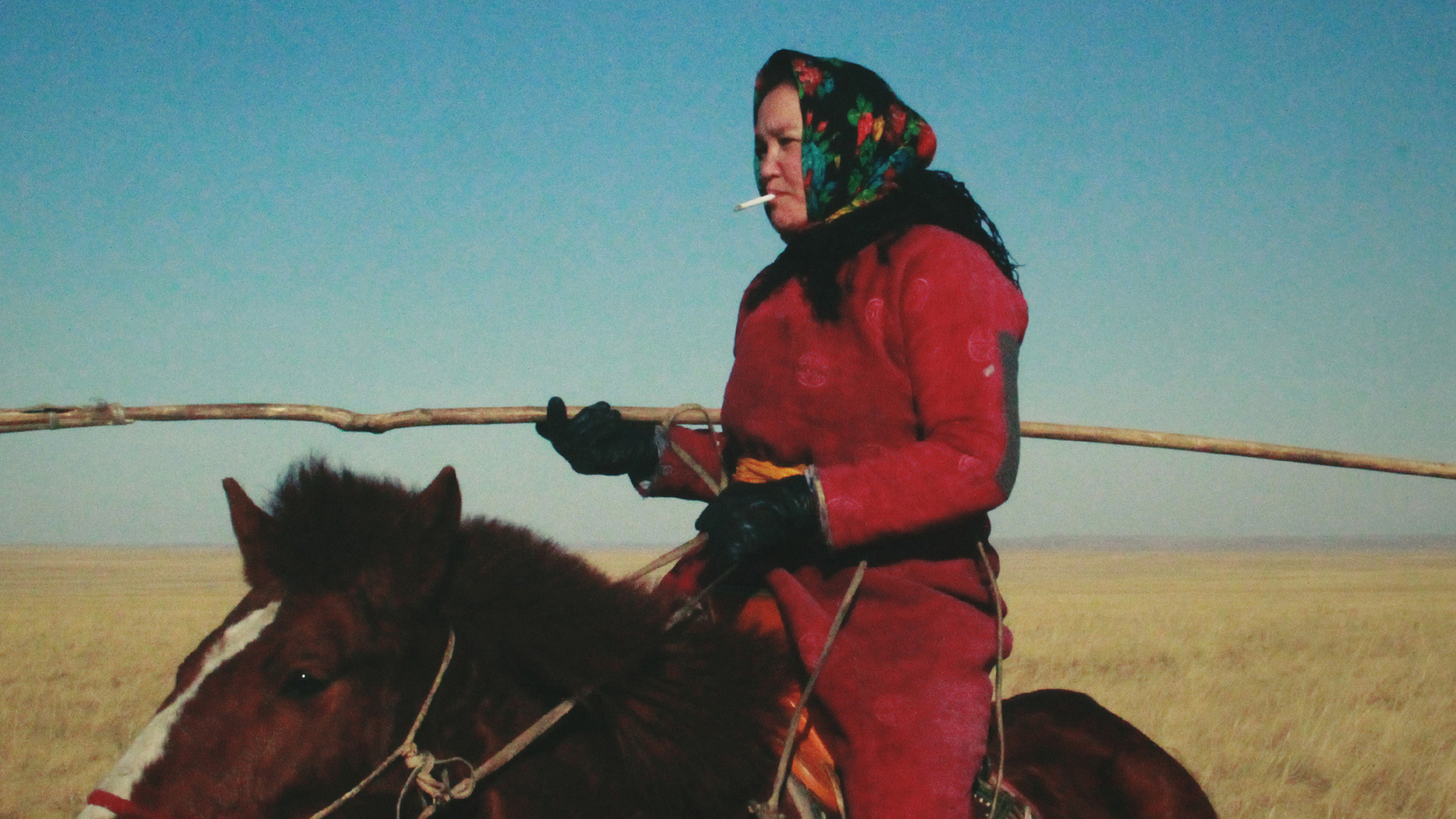 Eine Frau allein in der mongolischen Steppe: Das ist Thema des Films „Öndög“
