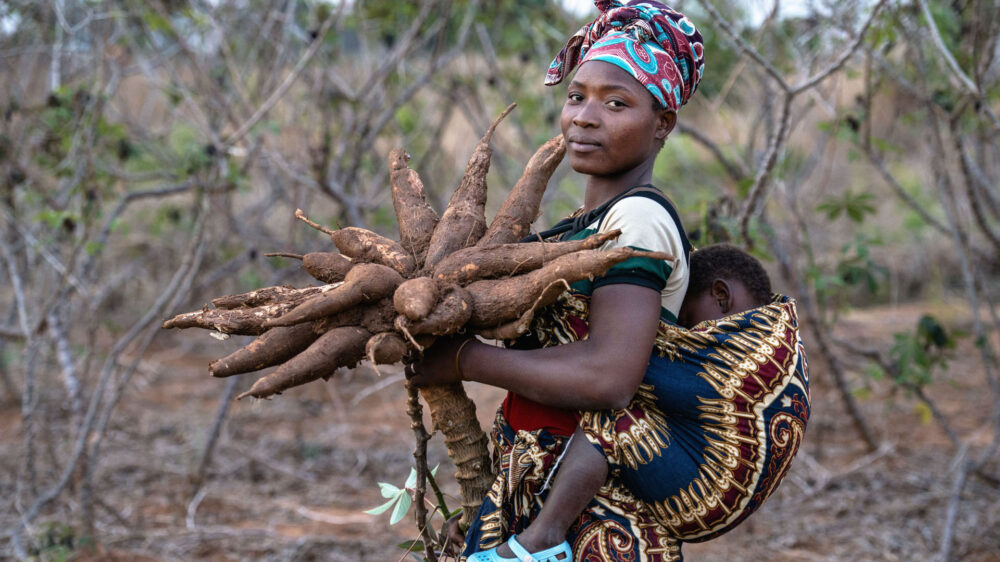 Die Firma Philafrica will afrikanische Lebensmittel verarbeiten und heimische Bauern unterstützen