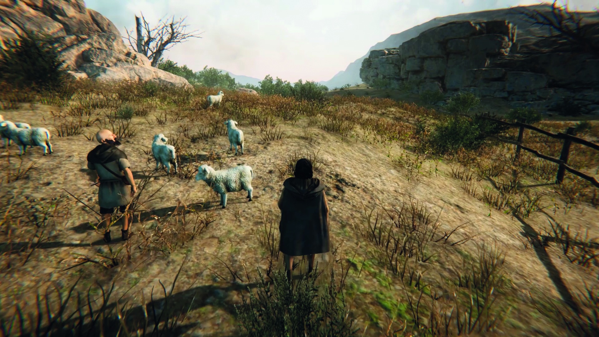 Freie Wahl: Der Spieler kann Schafe hüten oder sie stehlen