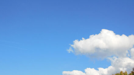 Am heutigen Himmelfahrtstag sollten wir die Perspektive nach oben nicht aus den Augen verlieren