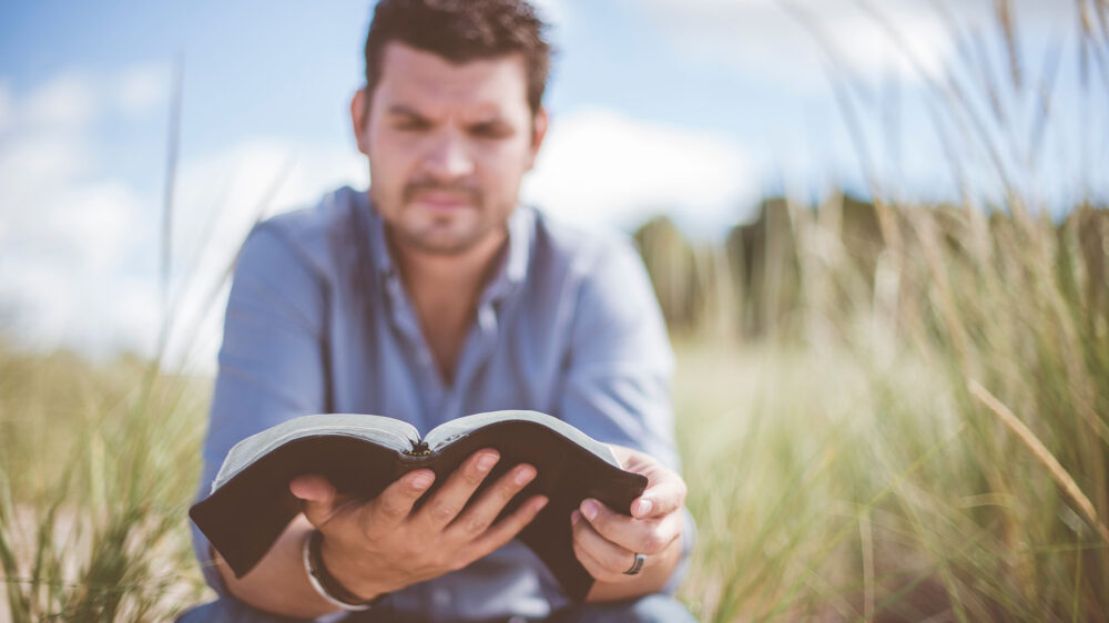 Die Natur und Gottes Wort genießen: Ein Hamburger Pastor versteigert nun ein Predigtthema auf Ebay – und lässt sich für seine Auslegung sicherlich auch von der Bibel inspirieren (Symbolbild)