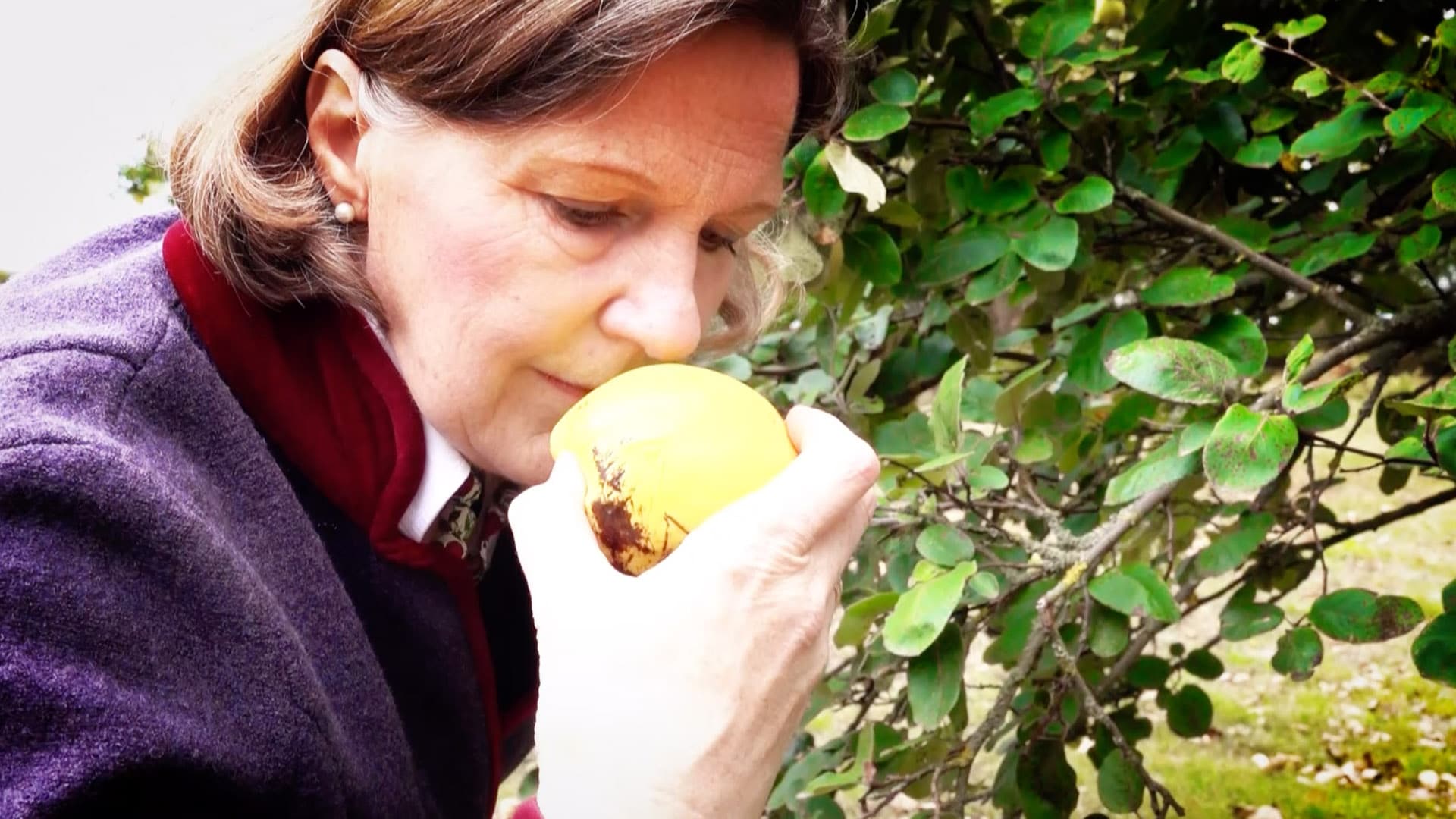 Daisy Gräfin von Arnim ist die „Apfelgräfin“ in der Uckermark
