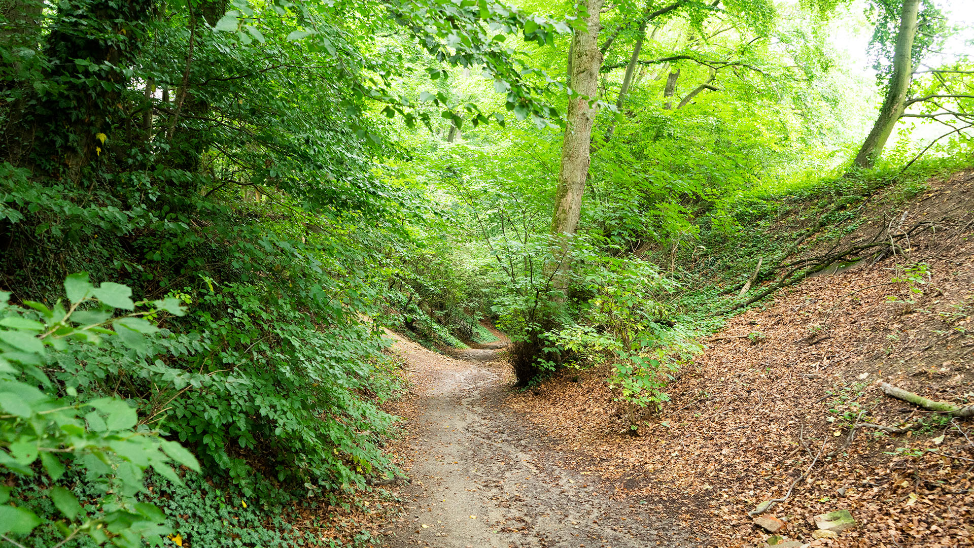 Ein jahrhundertealter Postweg schlängelt sich durch den Wald bis hinauf zur Kapelle