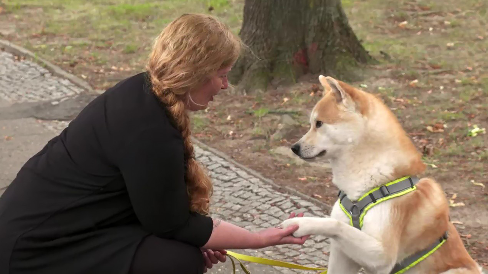 In der RTL-Sendung versucht Hundetrainerin Aurea Verebes Kinder mit Methoden aus dem Hundetraining zu erziehen