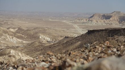 Wüste Negev
