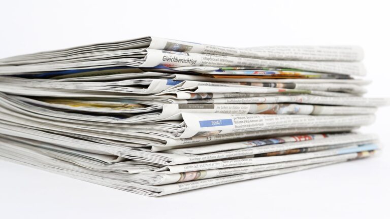Die Leitmedien ordnen Gewaltkriminalität wie die AfD ein