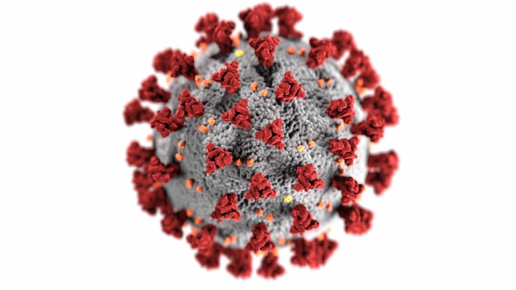 mRNA-Impfstoffe geben dem Körper den Bauplan für das Spike-Protein mit