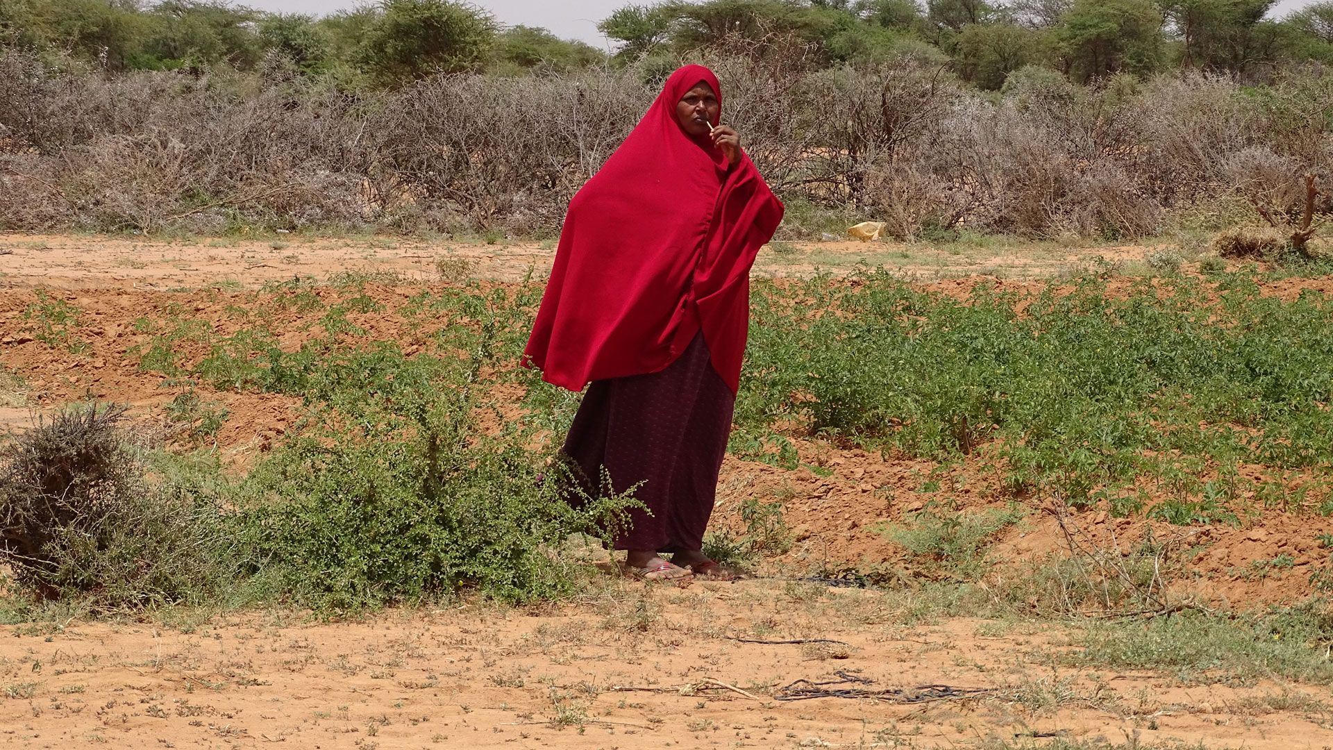 Somaliland