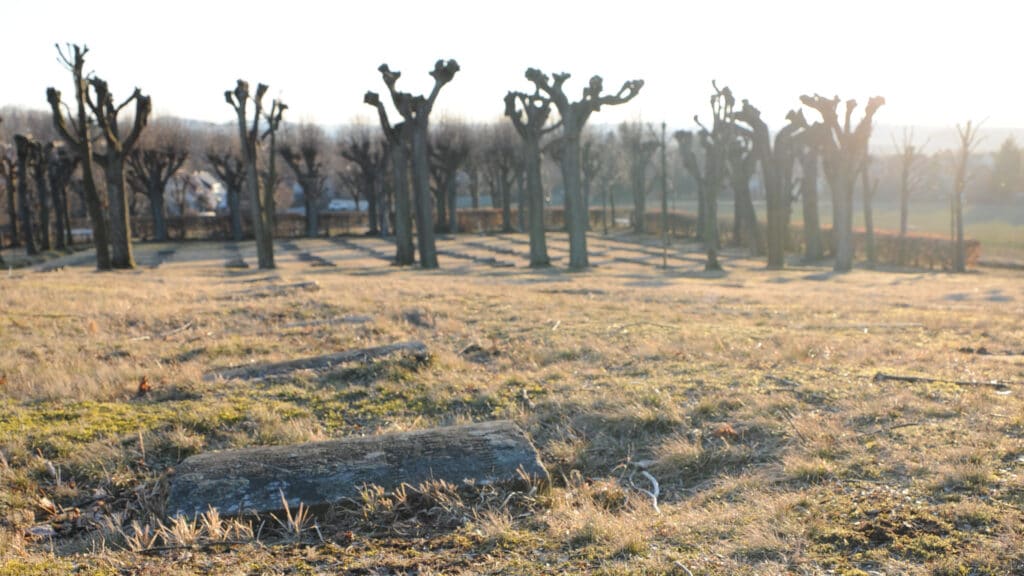 Gottesacker Herrnhut, Friedhof