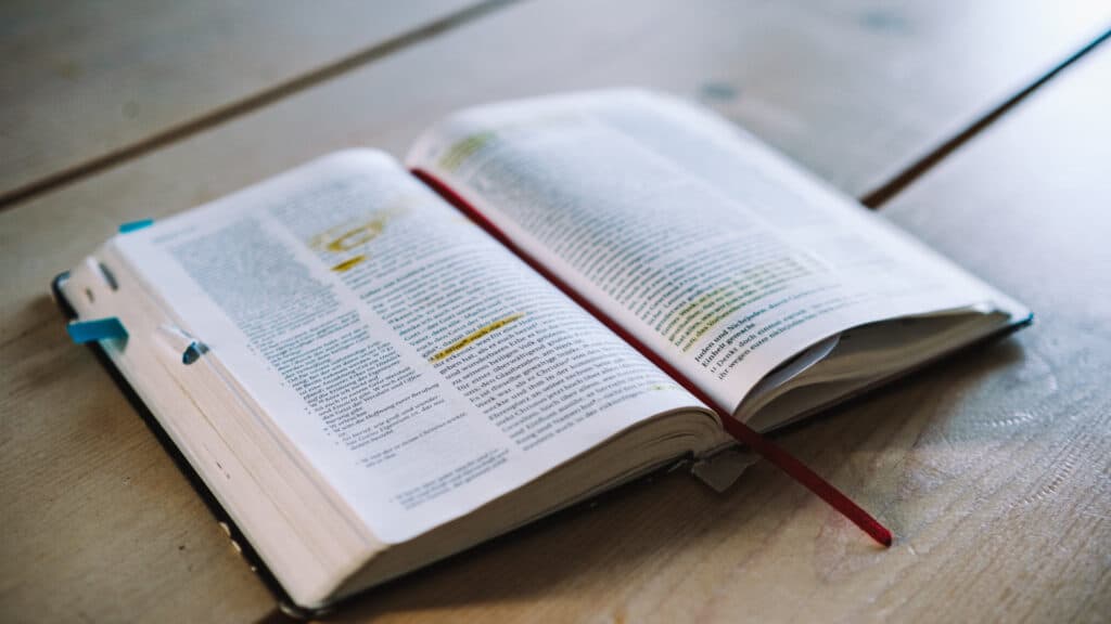 Die Bibel steht für viele Rekorde. Am Wochenende konnte in Mainz ein neuer Weltrekord aufgestellt werden: die größte ausgedruckte Bibelseite der Welt