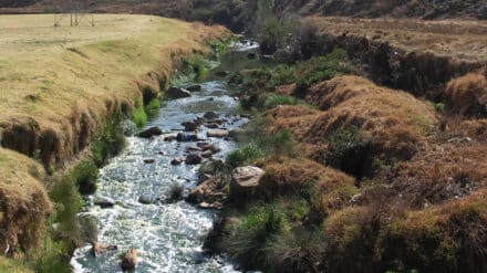 Der südafrikanische Juksei-River