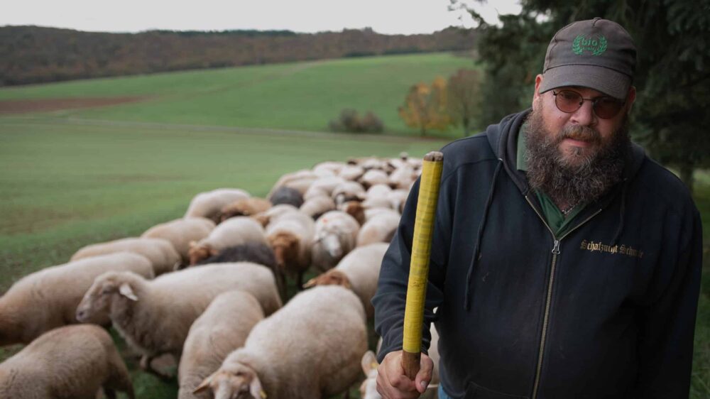 Hirte Thorsten Schmale mit seinen Schafen auf einer Wiese