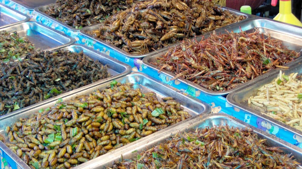 Speiseinsekten auf einem thailändischen Marktstand