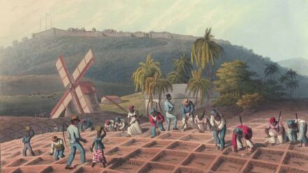 In zehn Bildern dokumentierte William Clark 1823, wie schwarze Sklaven auf der Karibikinsel Antigua Zuckerrohr anbauten, ernteten und verarbeiteten. Welch schwere körperliche Arbeit das war, wird auf den Bildern nicht deutlich. Tausenden Sklaven kostete sie das Leben.
