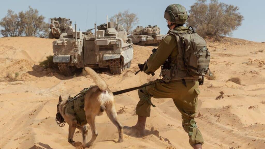 IDF Israel