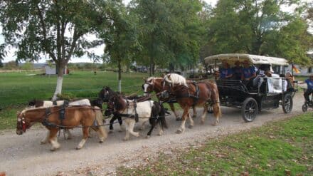 Pferde-Glocken-Friedenstreck