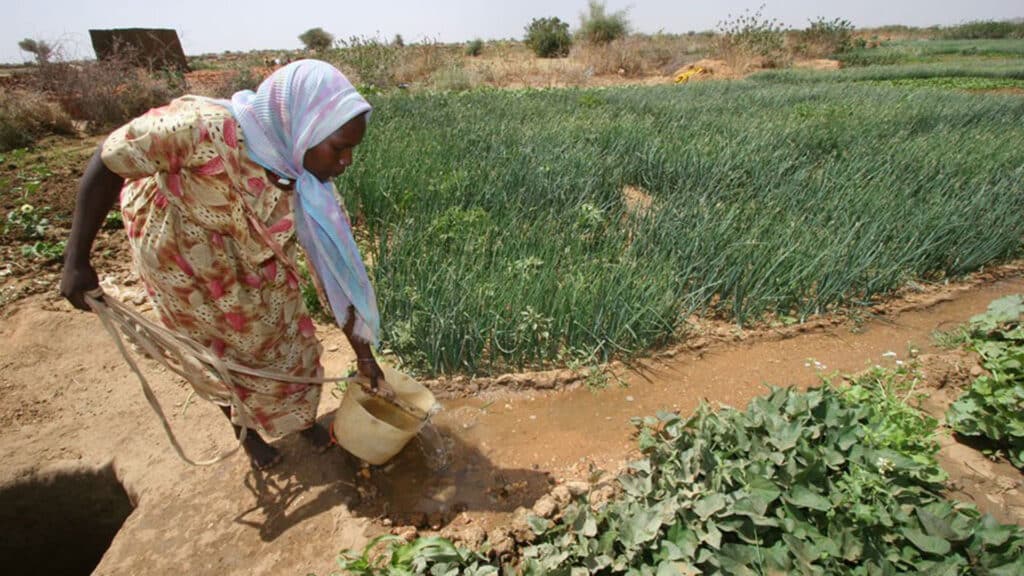 Ein unbeschwertes Leben scheint gerade für viele Menschen im Sudan unvorstellbar