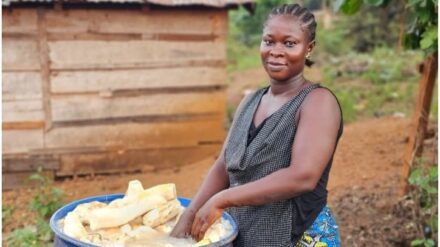 Jacquelle aus der Zentralafrikanischen Republik