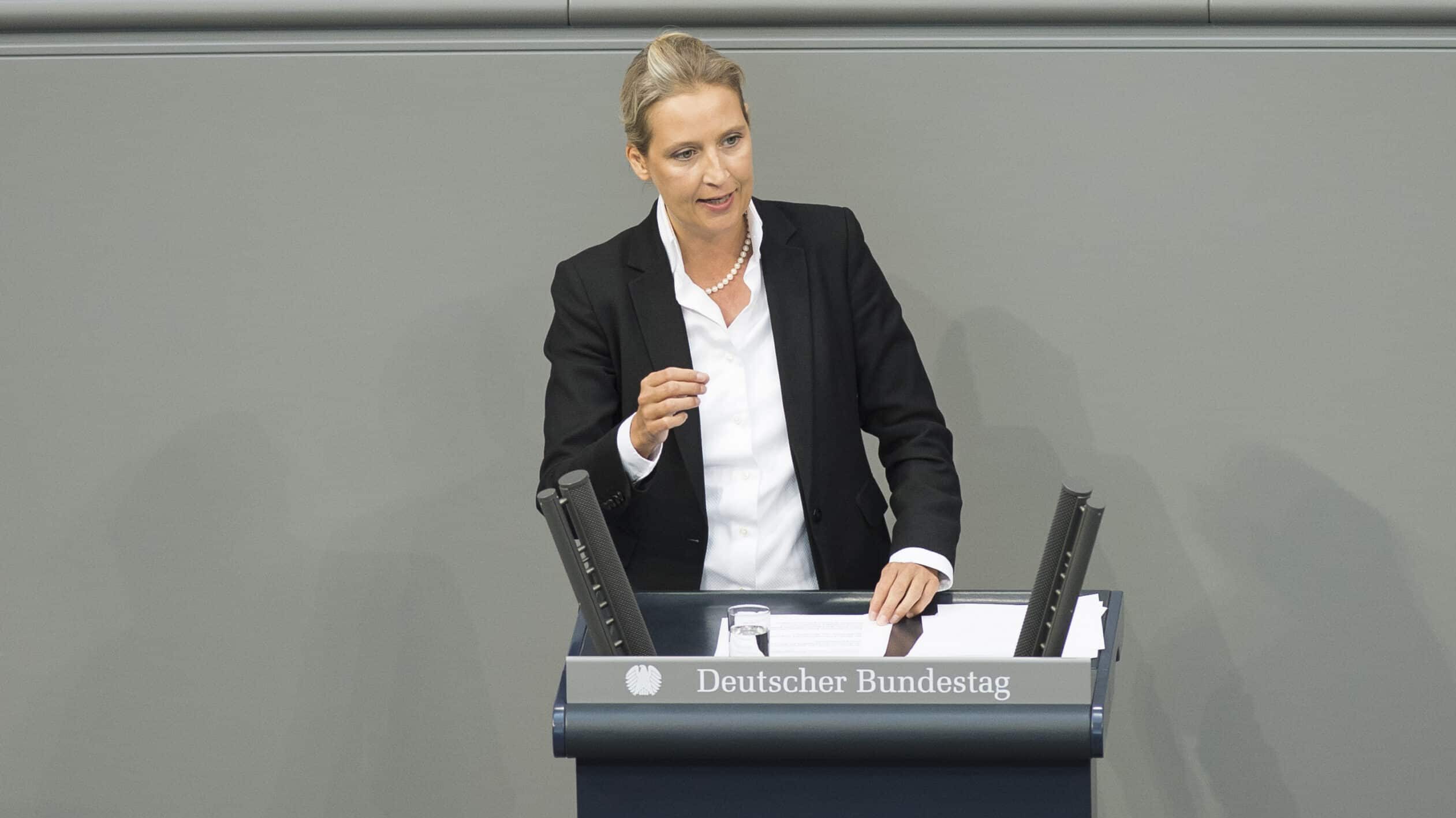 AfD will Leihmutters...